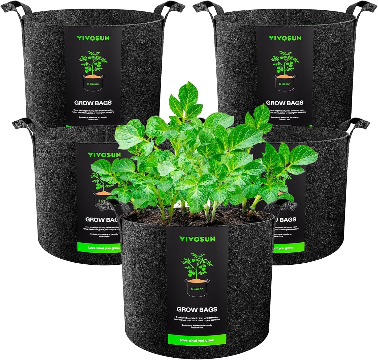 Best Fabric Grow Bags for Balcony Gardening