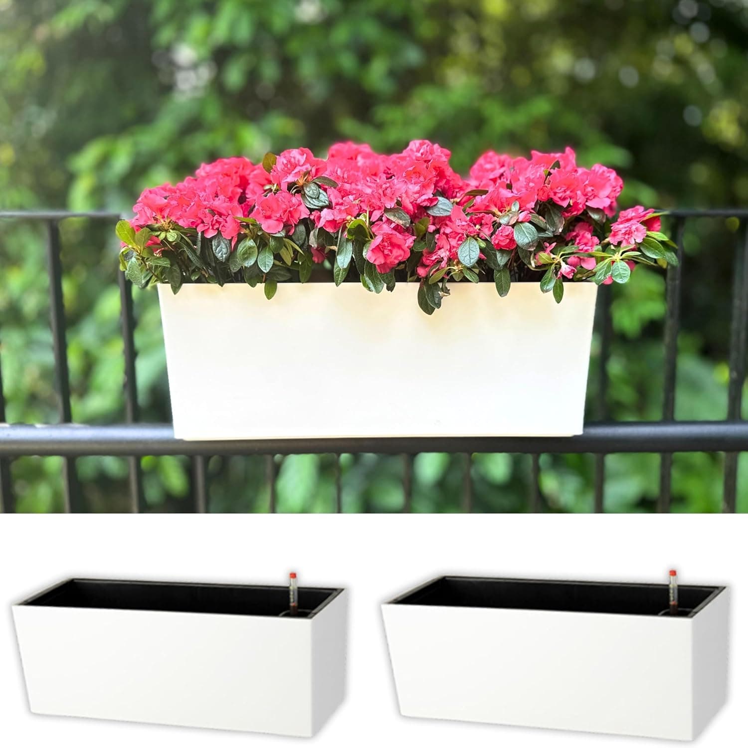 Best Railing Planters